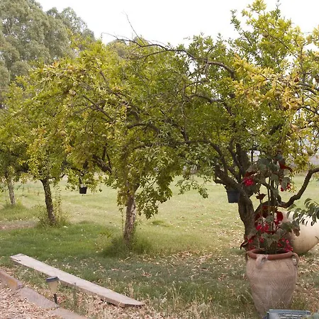 לינה וארוחת בוקר Country &